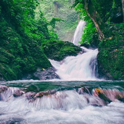 赏游盒子手机版下载